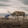 Аватара пользователя