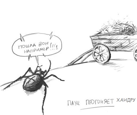 progon.jpg