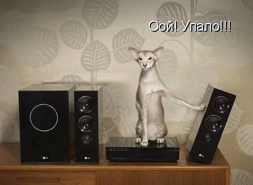 П.jpg